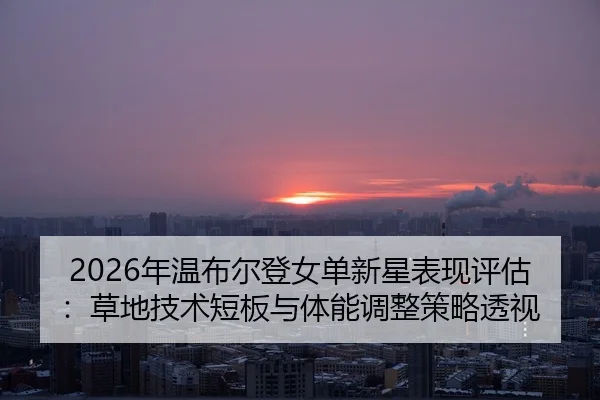 nian-wen-bu-er-deng-nv-dan-xin-xing-biao-xian-ping-gu-cao-di-ji-shu-duan-ban-yu-ti-neng-tiao-zheng-ce-lve-tou-shi-2-212.jpg