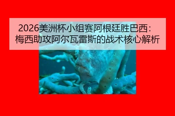 mei-zhou-bei-xiao-zu-sai-a-gen-ting-sheng-ba-xi-mei-xi-zhu-gong-a-er-wa-lei-si-de-zhan-shu-he-xin-jie-xi-2-988.jpg
